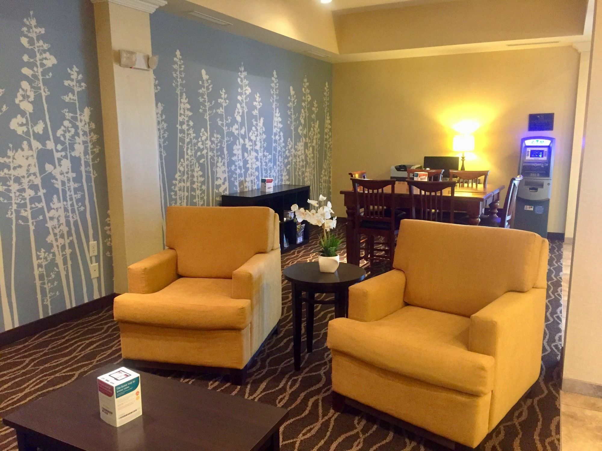 Sleep Inn & Suites Rapid City Extérieur photo