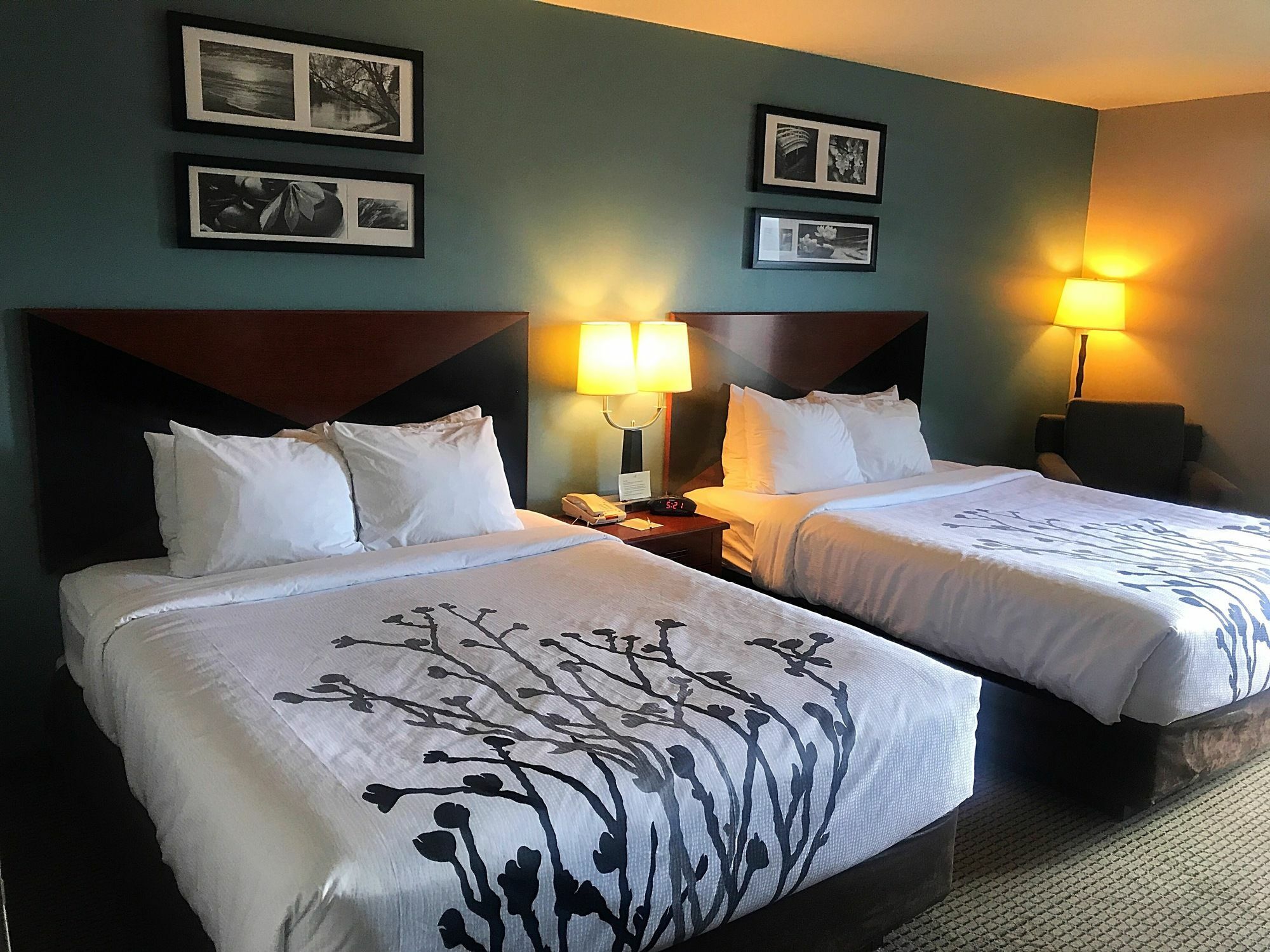 Sleep Inn & Suites Rapid City Extérieur photo